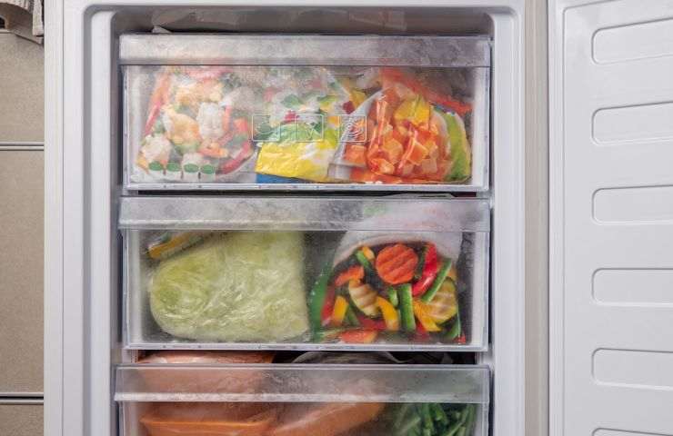 Alimenti messi nel congelatore