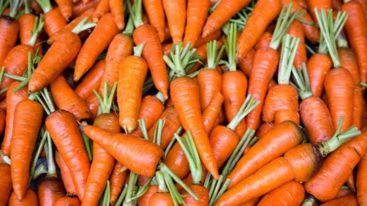 come è meglio mangiare le carote