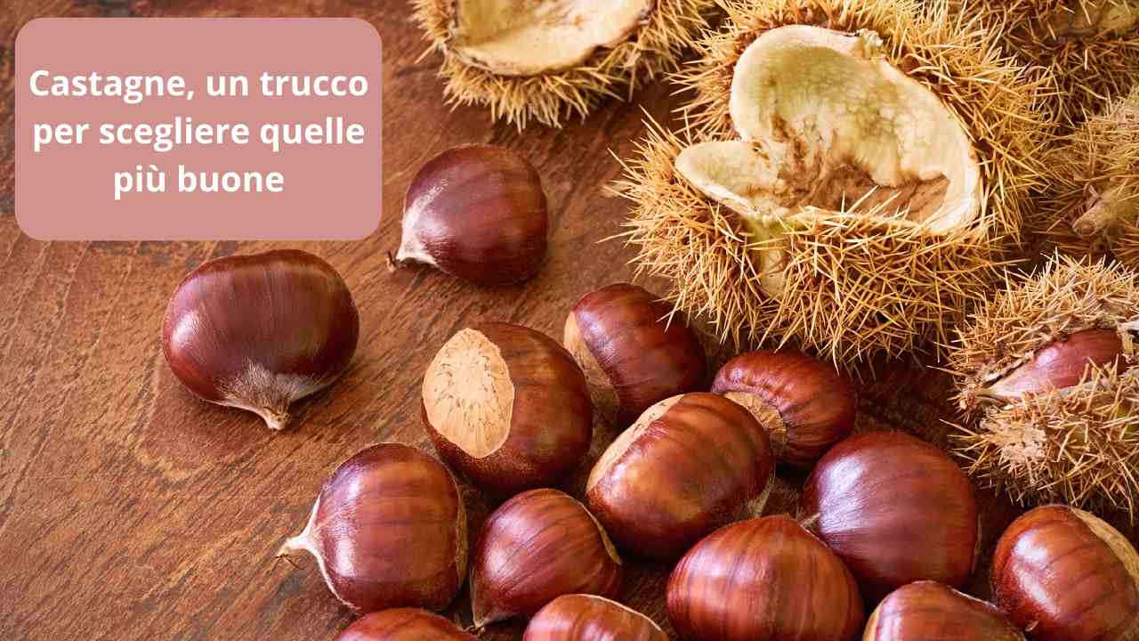 Trucco per scegliere le castagne più buone