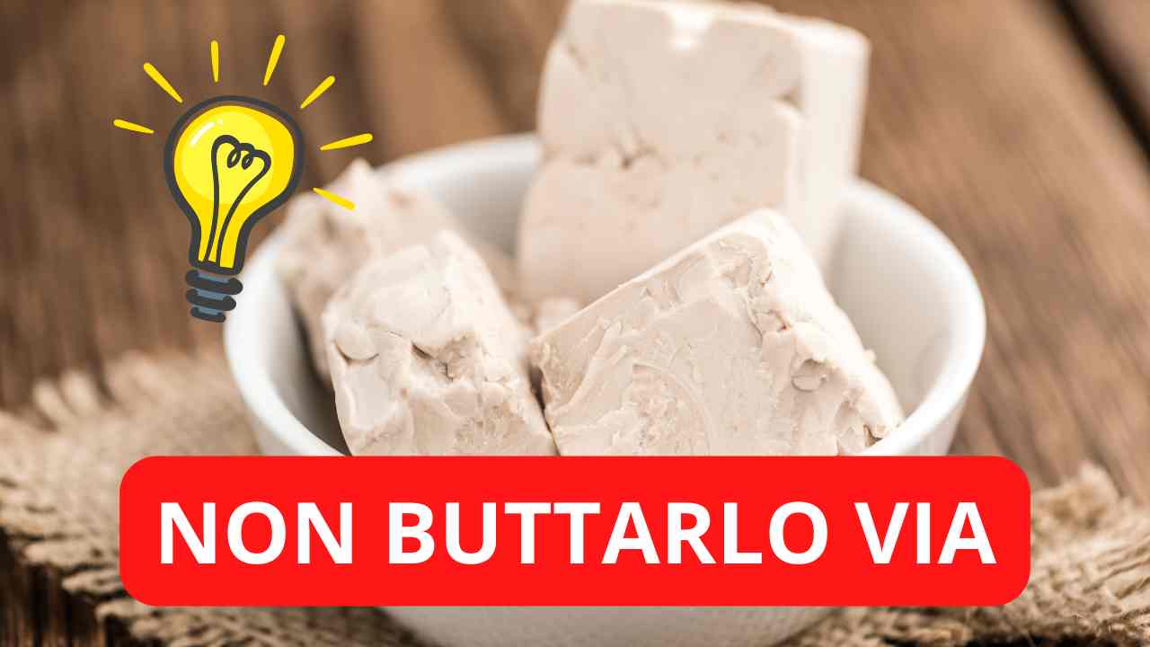 come riutilizzare il lievito di birra scaduto