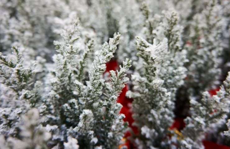 creare neve finta albero