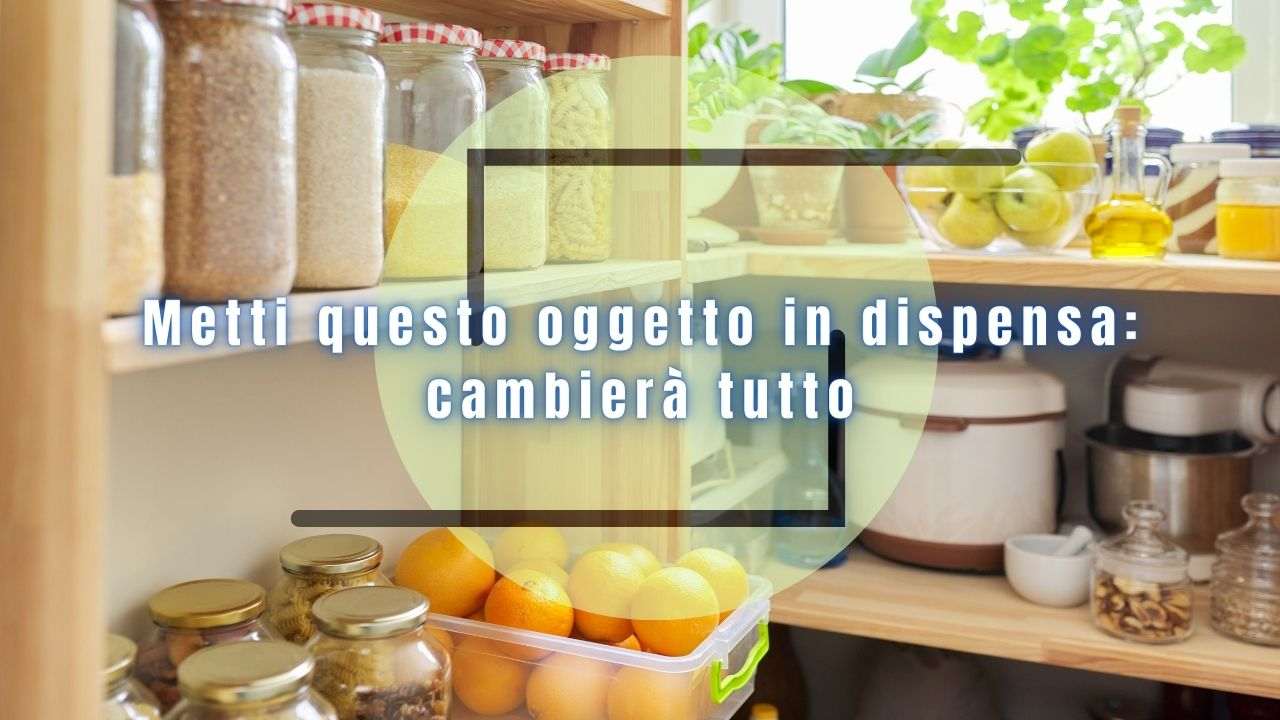 oggetto dispensa