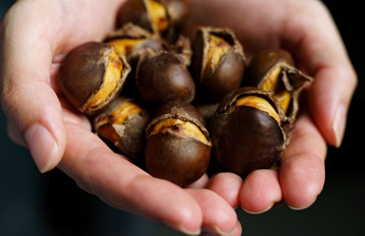 Castagne cottura