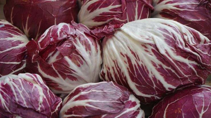 radicchio in padella ricetta