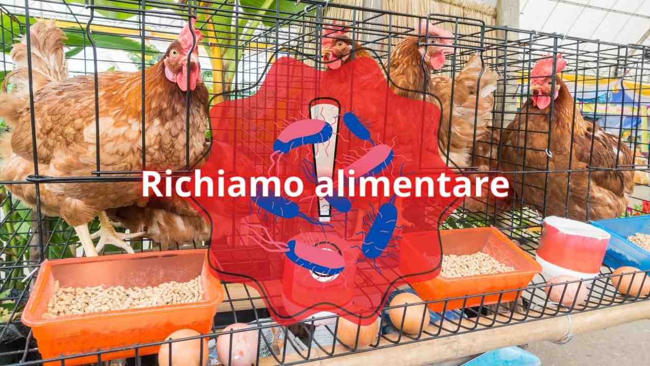 salmonella richiamo alimentare