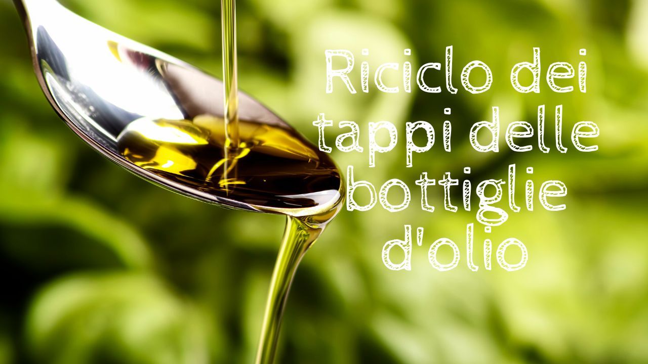 Tappi bottiglie olio