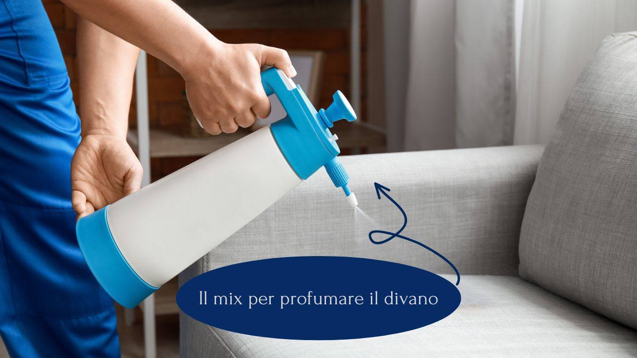 divano profumato miscela