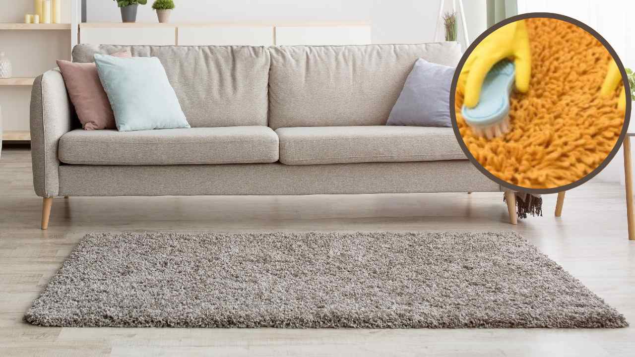 Pulire senza acqua il tappeto in 10 minuti