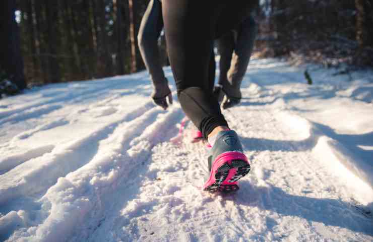 Una sana passeggiata nella neve