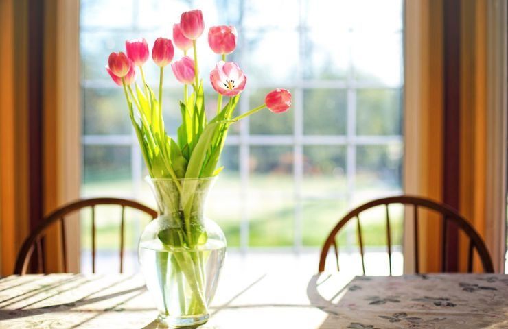 consigli mantenere fiori vaso
