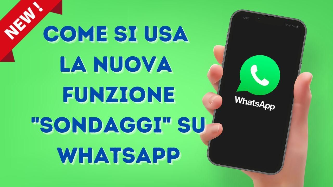 funzione sondaggi whatsapp