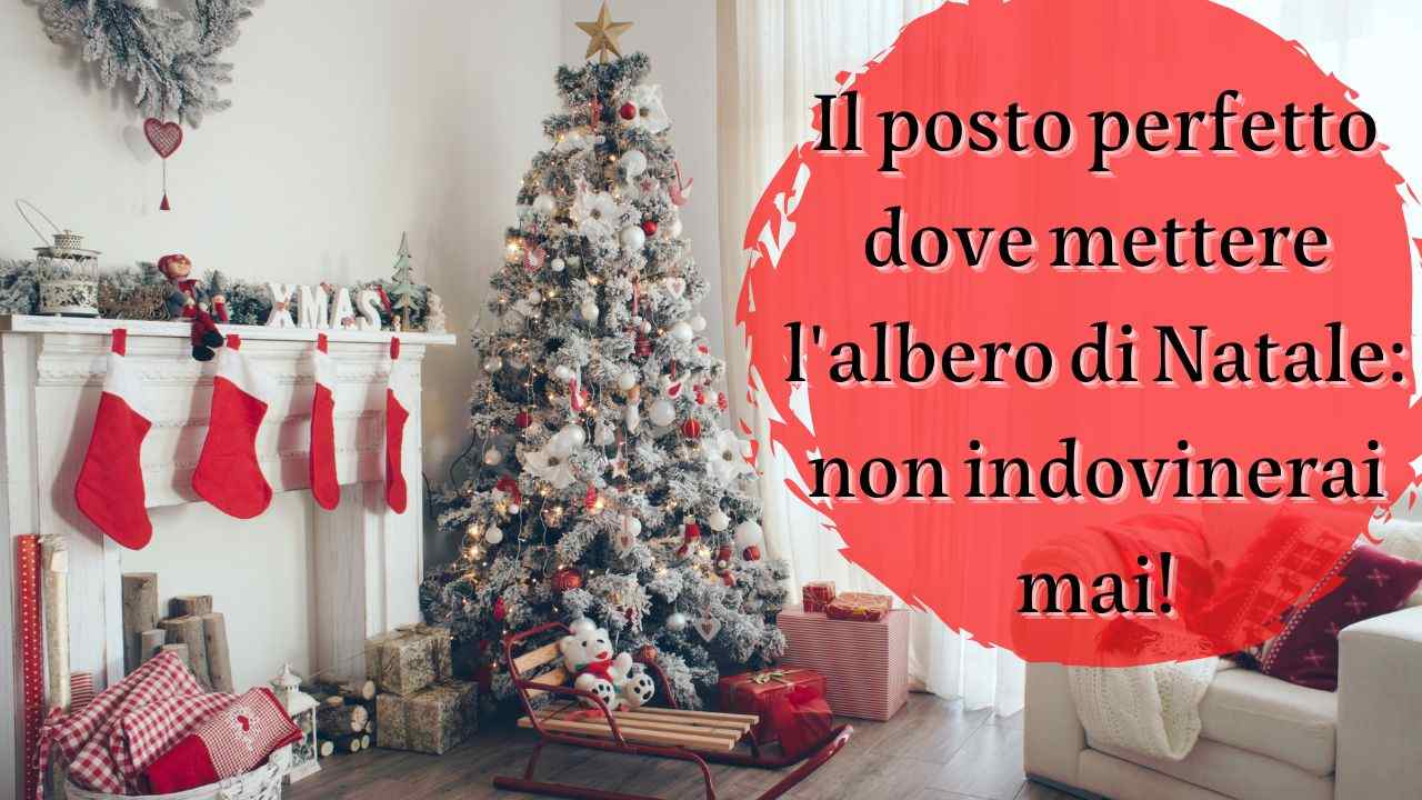 dobe mettere albero di natale