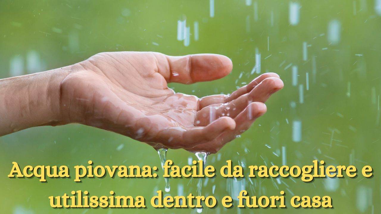 acqua piovana usi