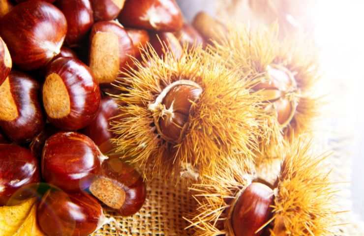 castagne