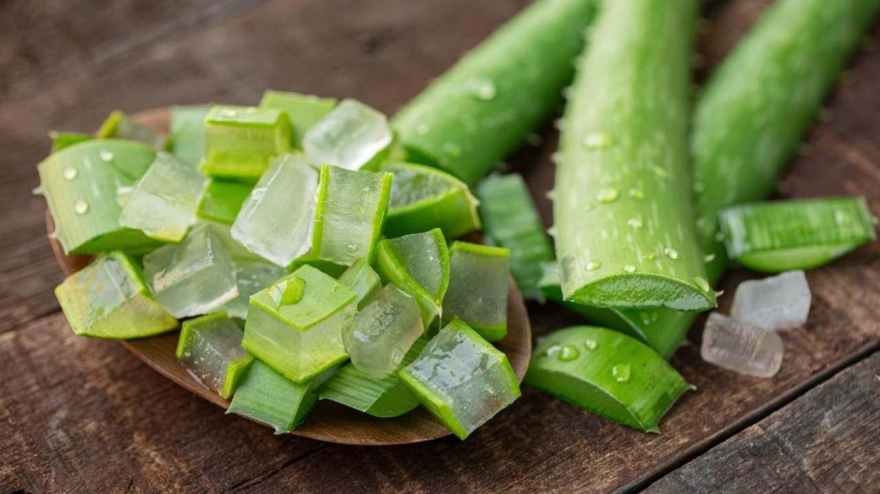 aloe bellezza