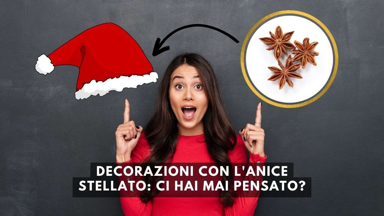 decorazioni anice stellato