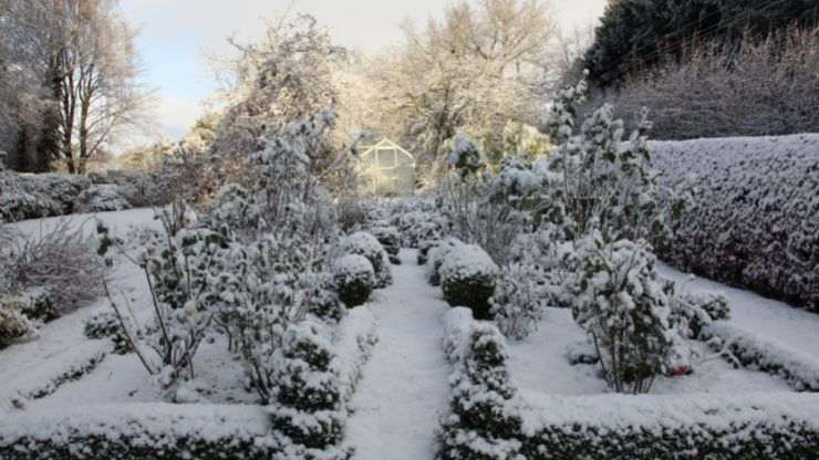 Giardino inverno 