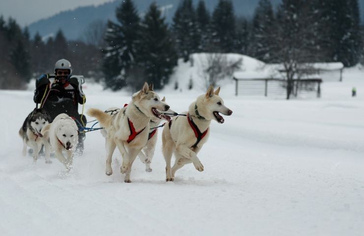 attività divertenti montagna