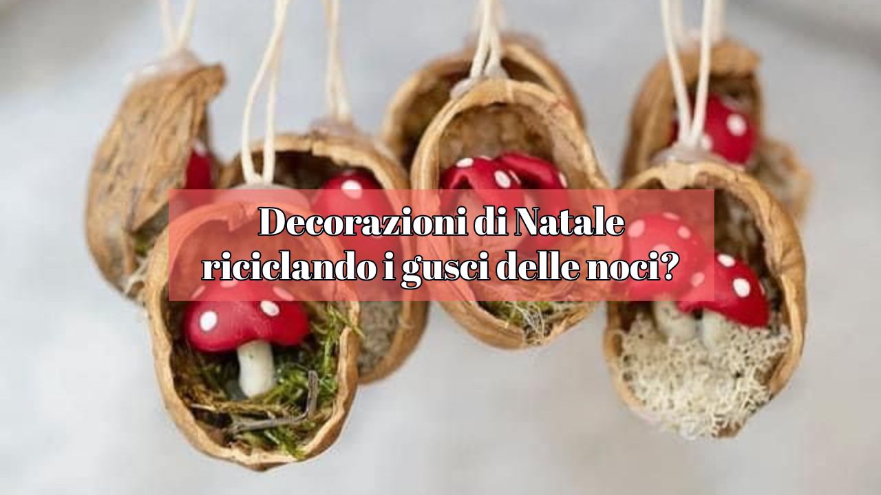 gusci noci decorazioni