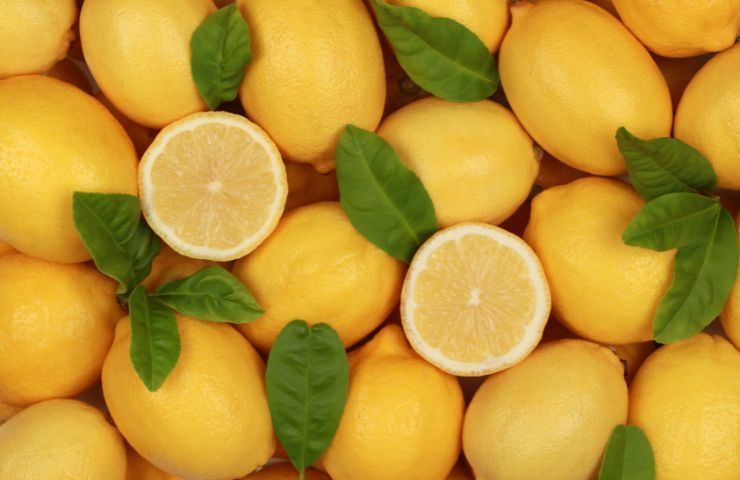 limoni e pulizia