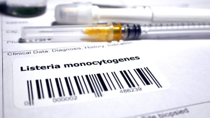 Listeria monocytogenes