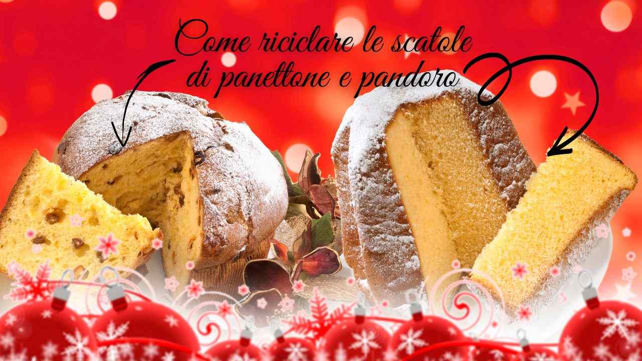 scatole pandoro panettone