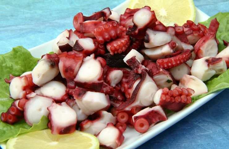 preparazione insalata polpo