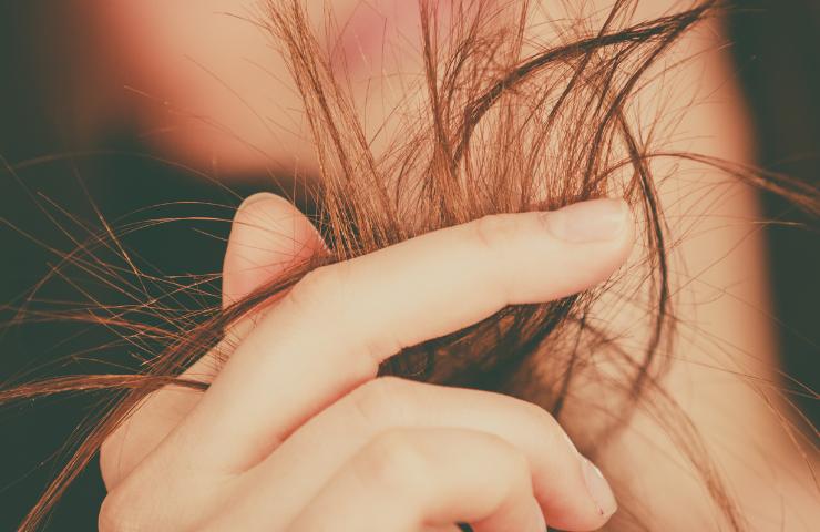Punte dei capelli secche