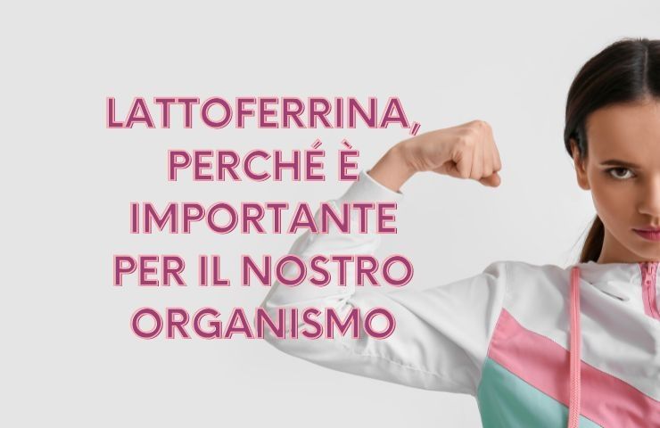 lattoferrina organismo