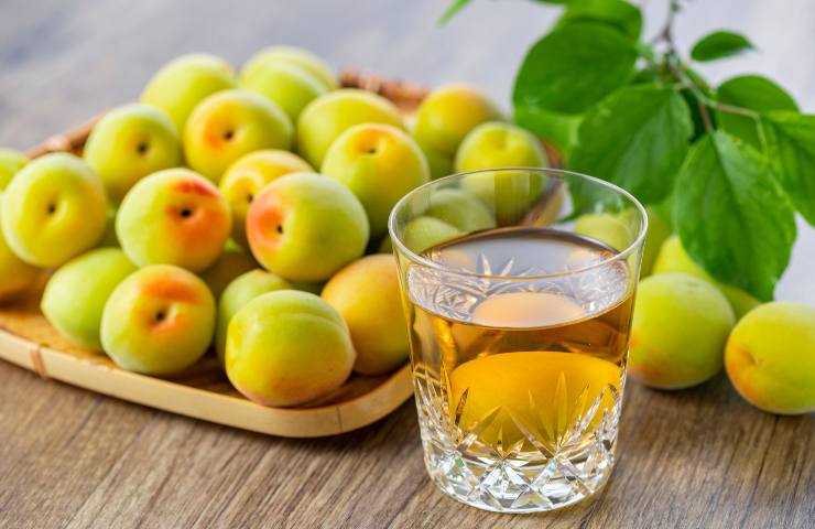 Umeboshi frutto Giappone