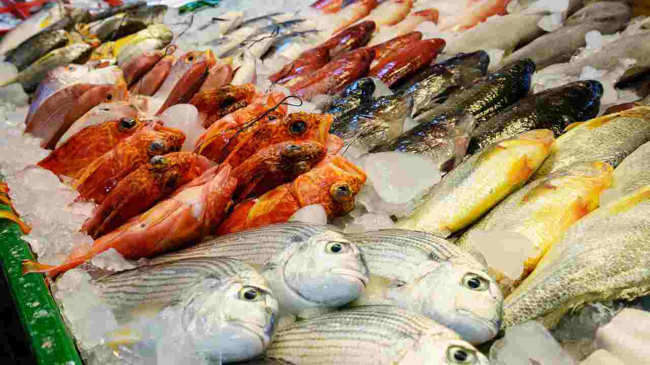come riconoscere il pesce fresco occhio profumo peritoneo