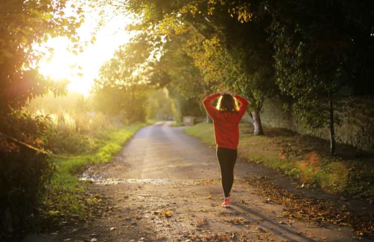 Una donna passeggia nella campagna