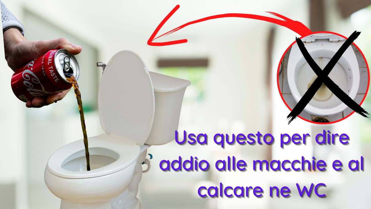coca cola nel wc