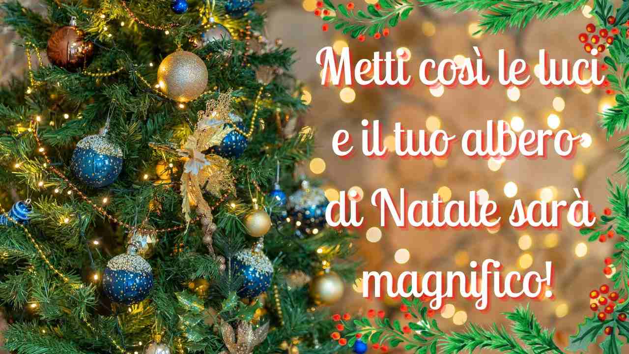 come sistemare le luci sull'albero di Natale