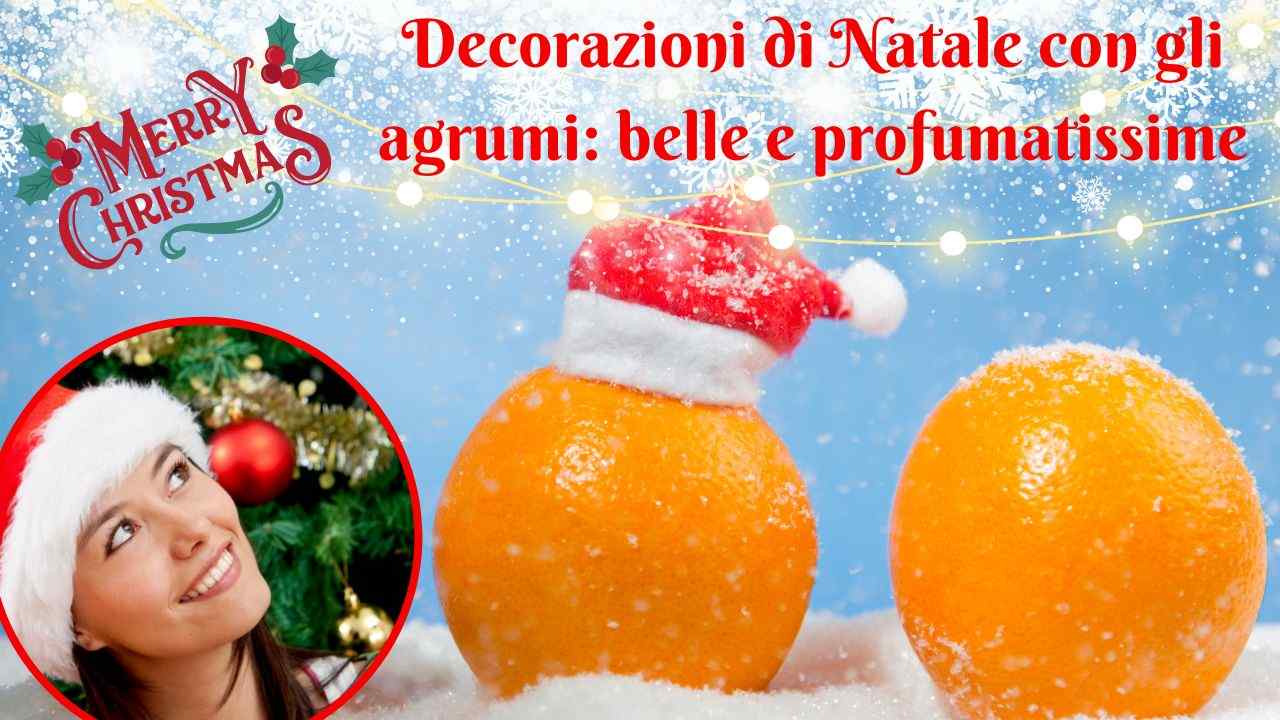 decorazioni natalizie agrumi