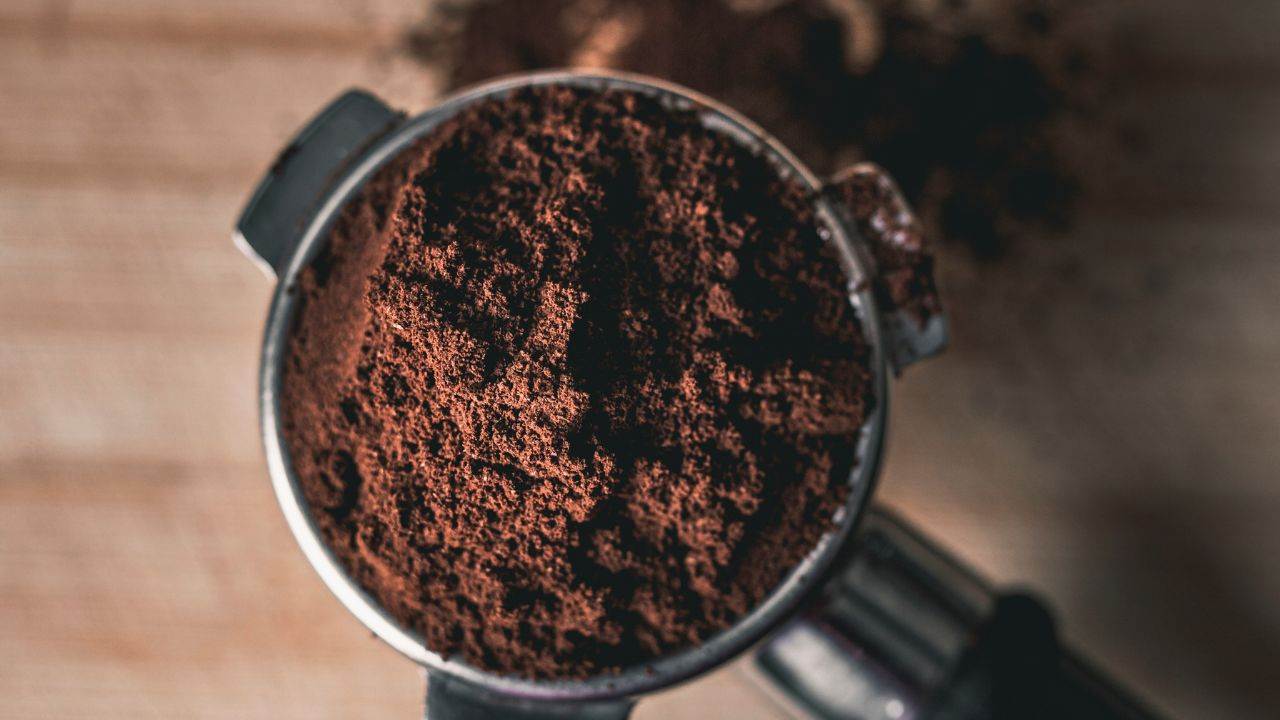 fondi di caffè alle piante