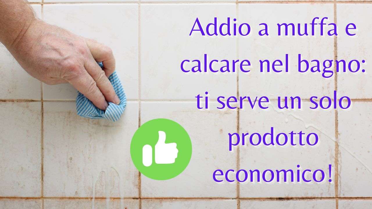 muffa calcare doccia