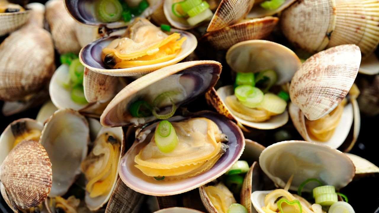sabbia nelle vongole