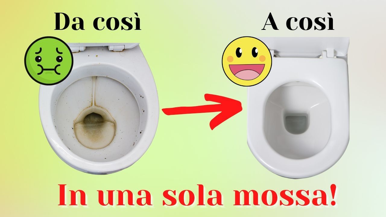 sbiancare wc