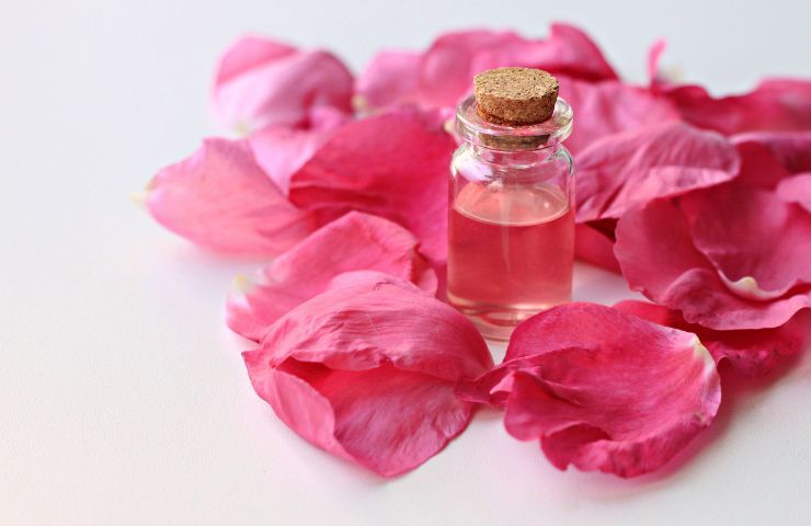 Importante acqua di rose