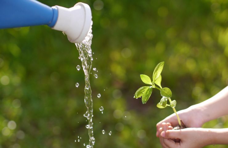 Come rimuovere impurità dall'acqua