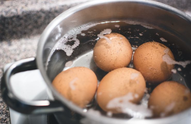 Alcune uova messe a bollire