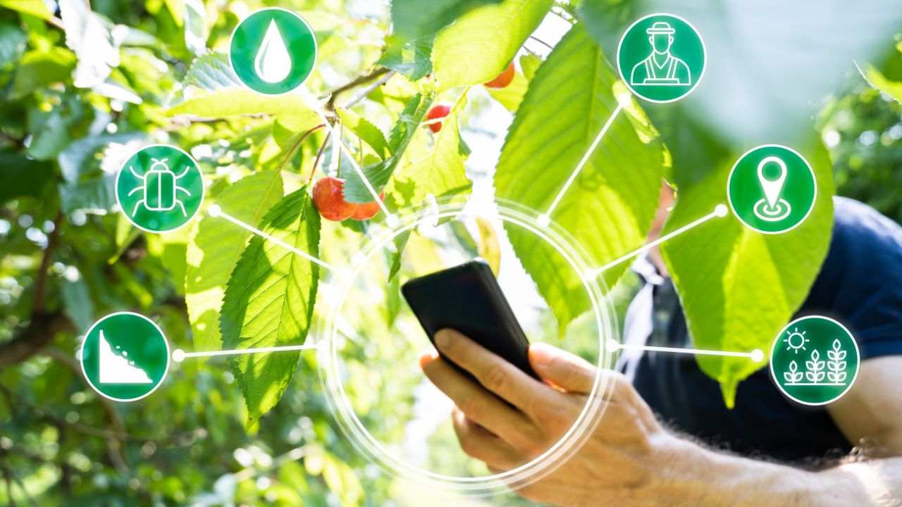 applicazioni smartphone piante