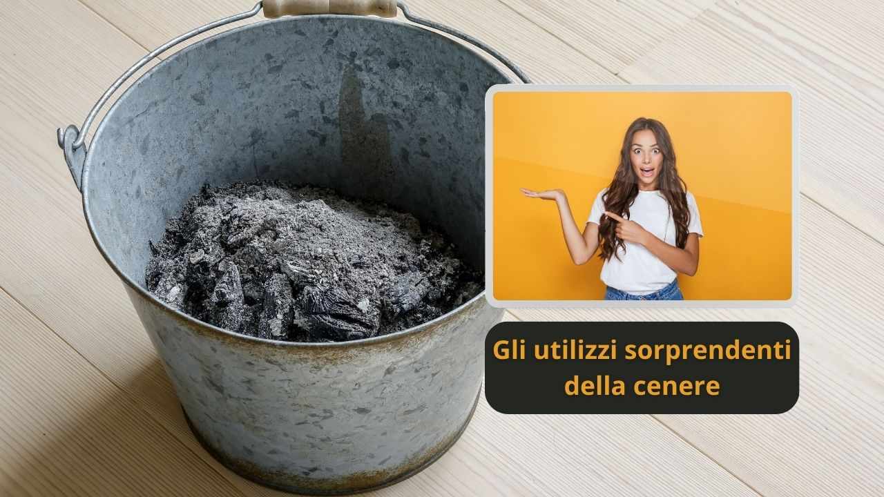 cenere camino utilizzi