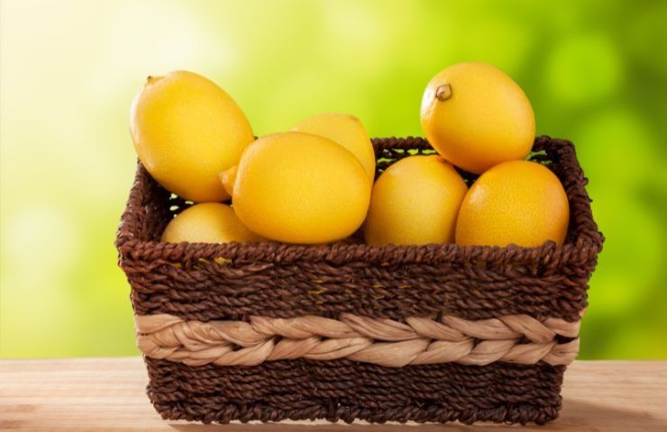 conservazione limoni cucina