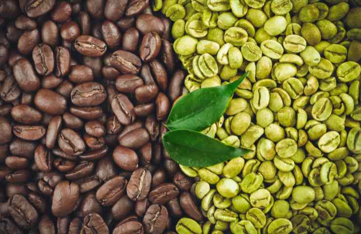 Dei chicchi di caffè normale e di caffè verde