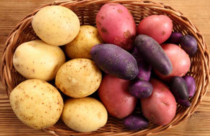 Differenti tipi di patate in una cesta