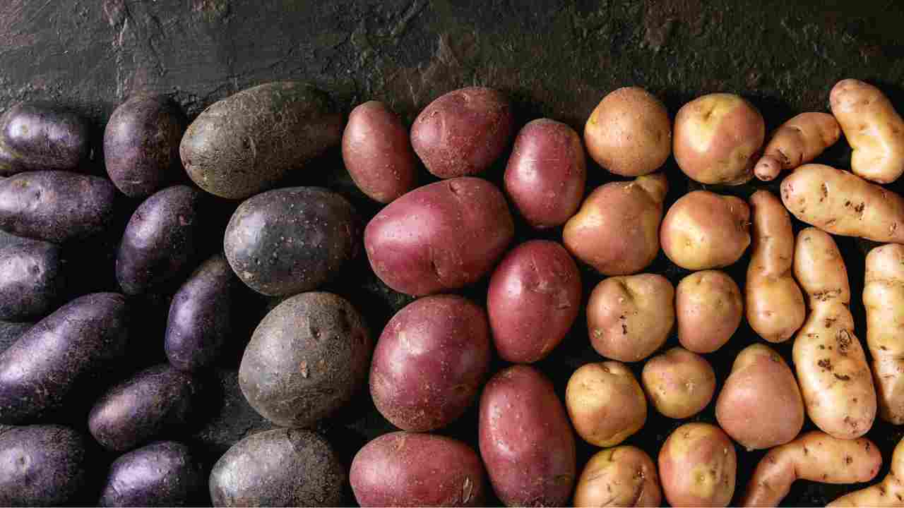 patate ricetta ricette salvacena sfiziose veloci