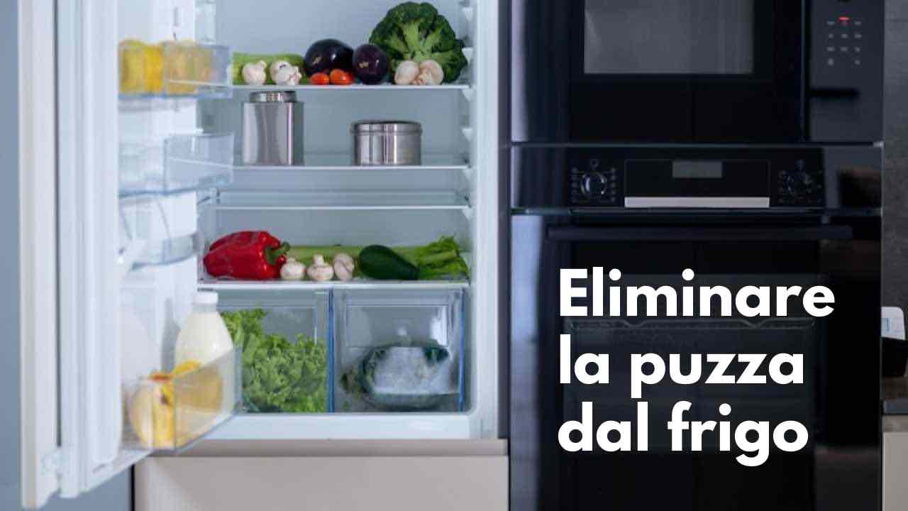 Frigo, come eliminare a puzza