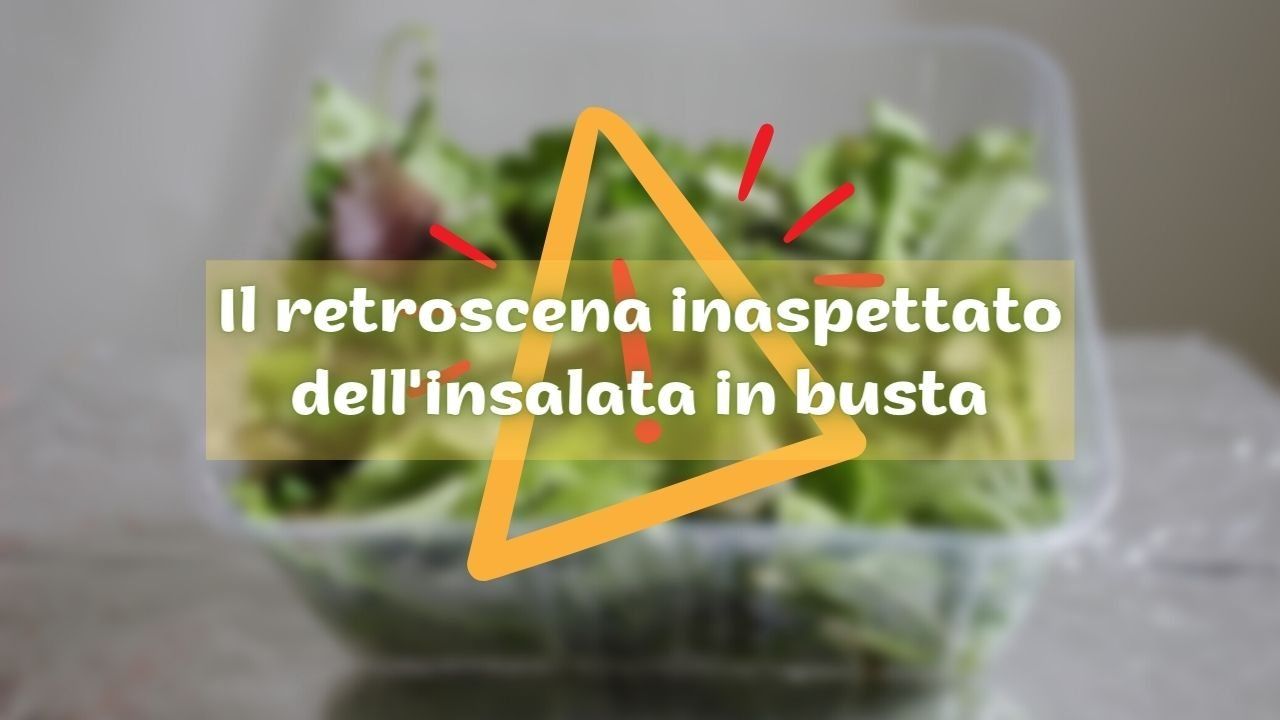 insalata in busta sicuro